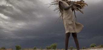 brendan_bannon_children_collecting_firewood